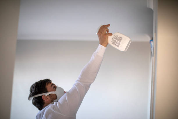 Best Toxic Mold Removal  in Wilton, CA