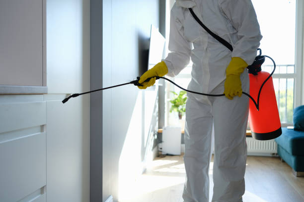 Best Crawl Space Mold Removal  in Wilton, CA