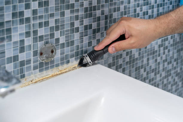 Best Residential Mold Removal  in Wilton, CA